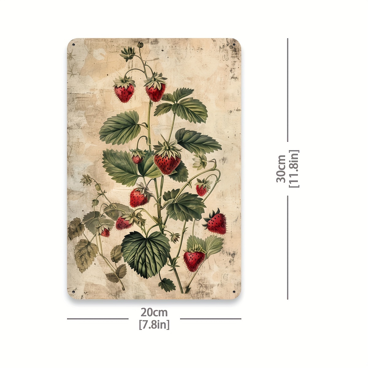 1개, 빈티지 과일 컬렉션 금속 틴 사인, 20.32x - Vintage Collectible Tins 리뷰 및 가격